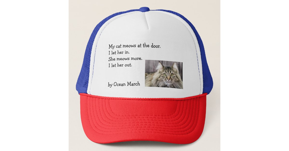 Cat Hat | Cute Cat Baseball Cap | Advice From A Cat | Cat Lover | Animal  Lover | Animal Inspired | Baseball Hat | Embroidered Hat | Fit Most