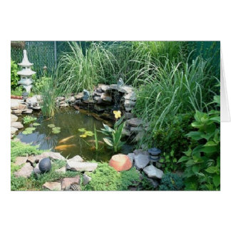 Ocean's Pond Cards