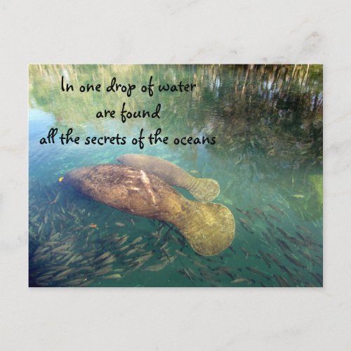 Oceans Quote Postcard