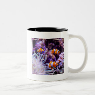 Ocellaris Clownfish Amphiprion Ocellaris Two-Tone Coffee Mug