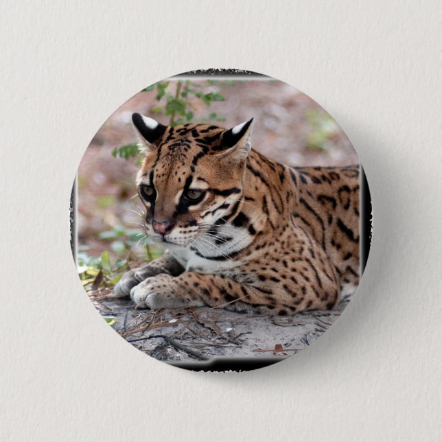 Ocelot 01 11x11 button (Front)