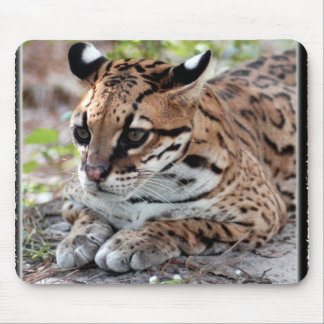 Ocelot 02 11x11 mouse pad
