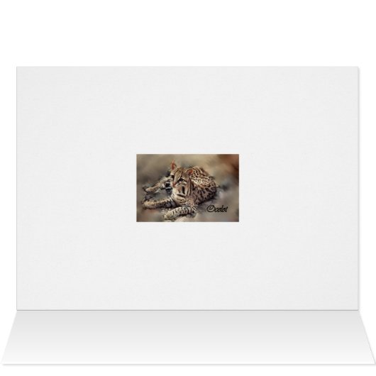 Ocelot art (Inside Horizontal (Top))