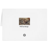 Ocelot art cards (Back Horizontal)