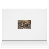Ocelot art cards (Inside Horizontal (Top))