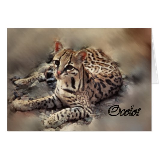Ocelot art cards (Front Horizontal)