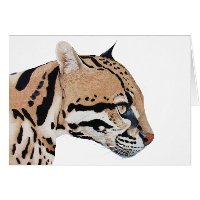 Ocelot Cards (Front Horizontal)