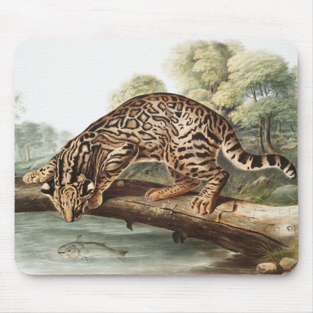 Ocelot, Leopard Cat (Felis pardalis) Illustration Mouse Pad (Front)