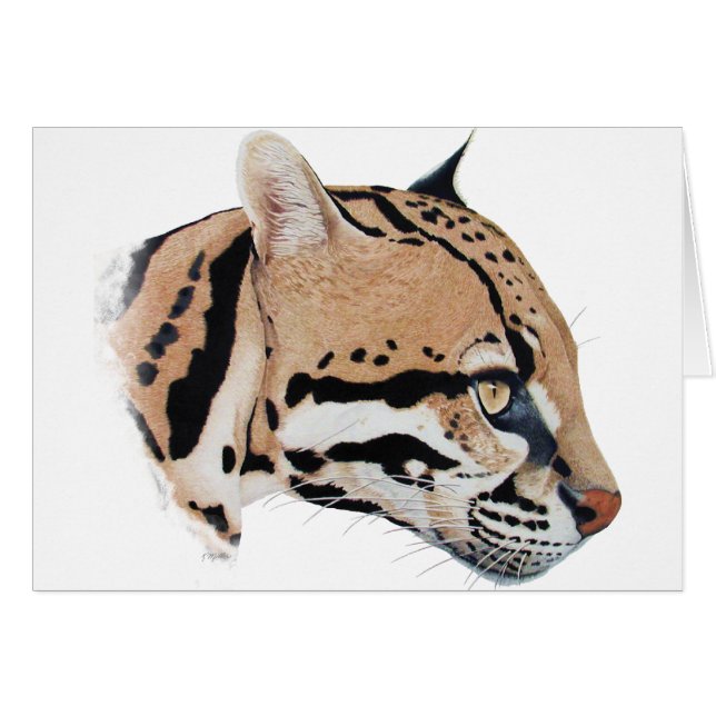 Ocelot Portrait Cards (Front Horizontal)