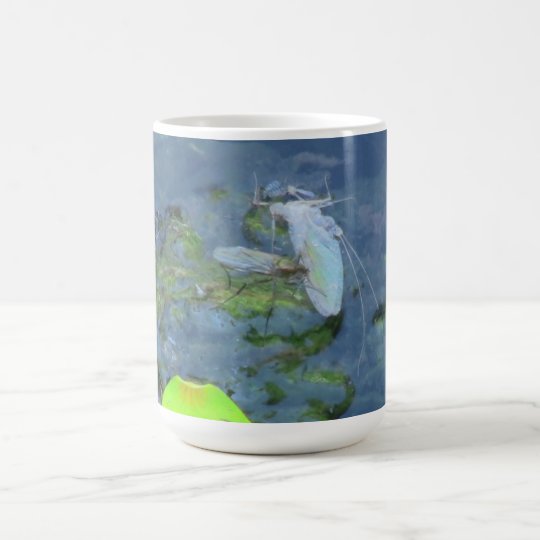 Ochoco Black Canyon Insects / Arachnids Bugs Fauna Coffee Mug