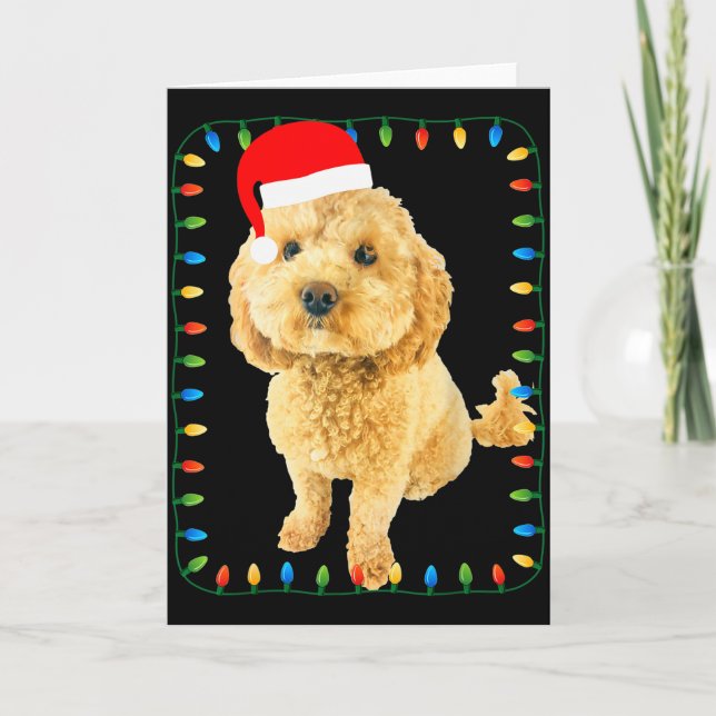 Ochon Puppy Dog Christmas Party Bicho Bichon Odle  Card (Front)
