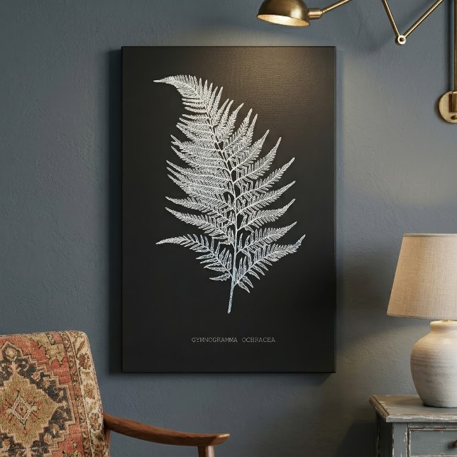 Ochre Fern Frond, Gymnogramma Ochracea  Canvas Print (Ochre Fern Frond, Gymnogramma Ochracea. Canvas Print)