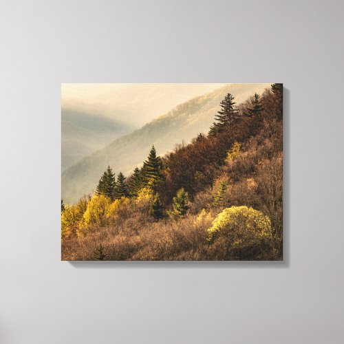 Oconaluftee Valley Overlook  North Carolina Canvas Print