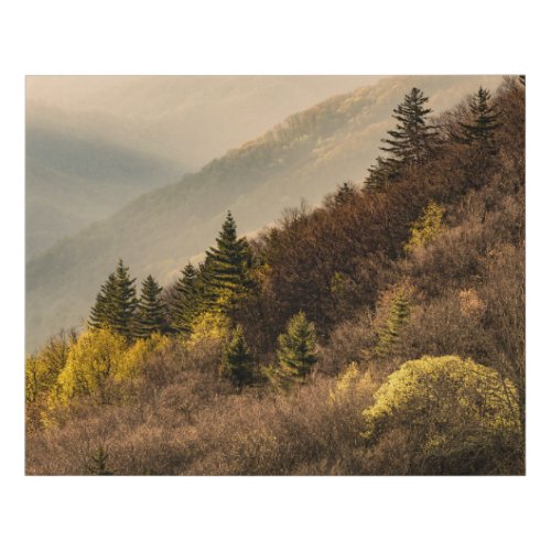 Oconaluftee Valley Overlook  North Carolina Faux Canvas Print