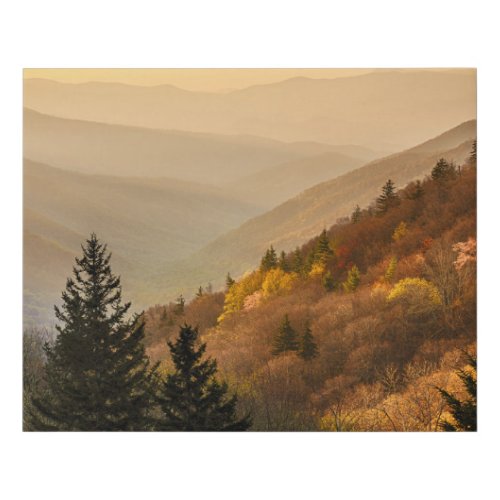 Oconaluftee Valley Overlook  North Carolina Faux Canvas Print