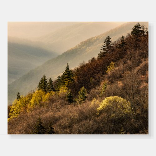 Oconaluftee Valley Overlook  North Carolina Foam Board