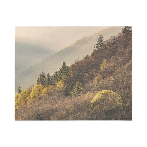 Oconaluftee Valley Overlook  North Carolina Gallery Wrap