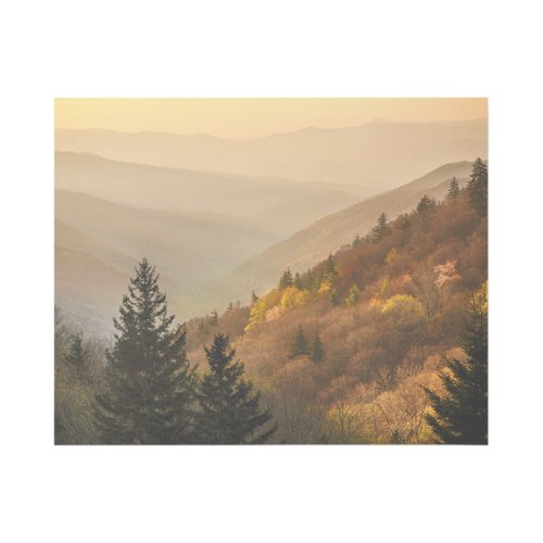 Oconaluftee Valley Overlook  North Carolina Gallery Wrap