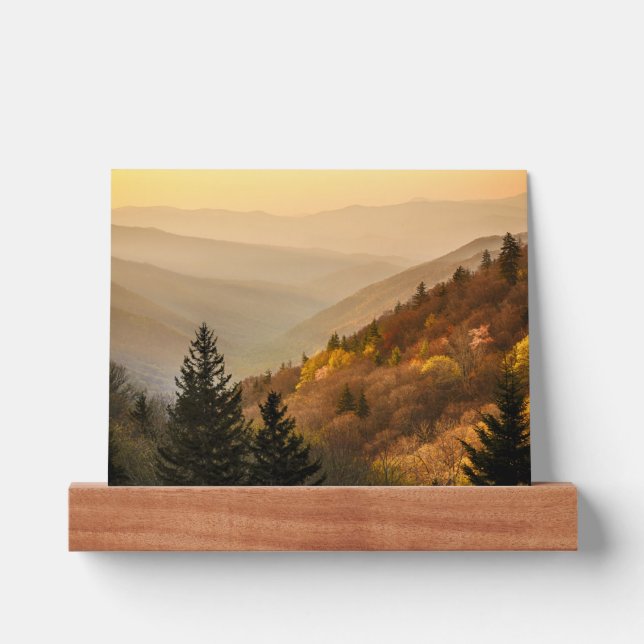 Oconaluftee Valley Overlook | North Carolina Picture Ledge (Front)