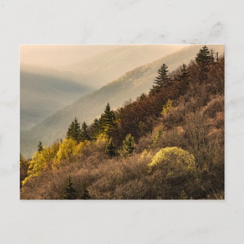 Oconaluftee Valley Overlook  North Carolina Postcard