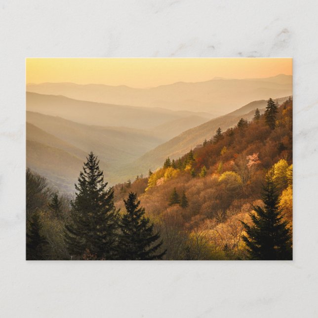 Oconaluftee Valley Overlook | North Carolina Postcard (Front)