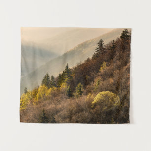 Oconaluftee Valley Overlook   North Carolina Tapestry
