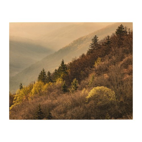 Oconaluftee Valley Overlook  North Carolina Wood Wall Art