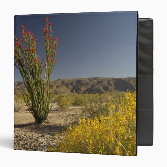 Ocotillo and desert senna 3 ring binder (Front/Inside)