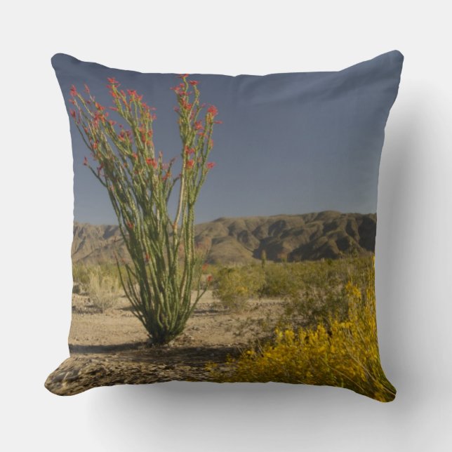 Ocotillo and desert senna throw pillow (Front)