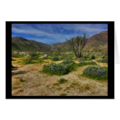 Ocotillo Borrego Springs 2017 (Front Horizontal)