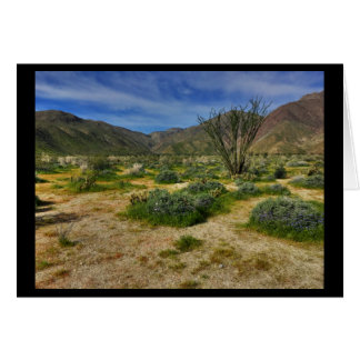 Ocotillo Borrego Springs 2017 Cards