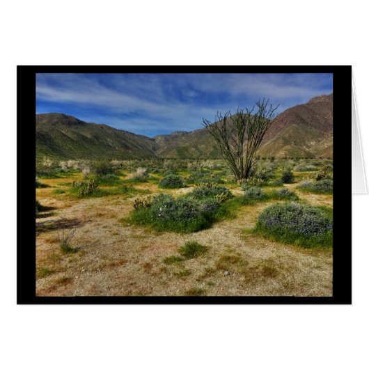 Ocotillo Borrego Springs 2017 Cards (Front Horizontal)