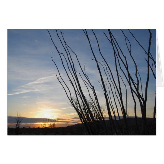 Ocotillo sunrise cards (Front Horizontal)