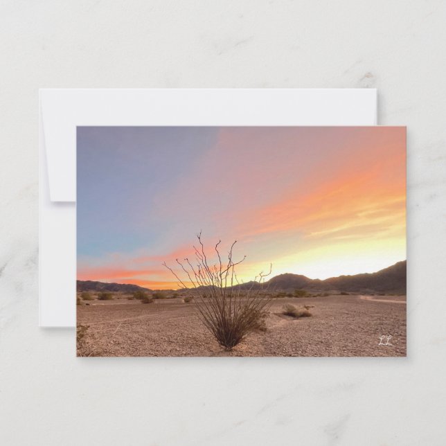 Ocotillo Sunrise Note Card (Front)