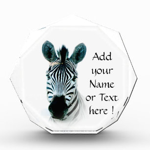 Octagon Award with zebra head portrait in africa