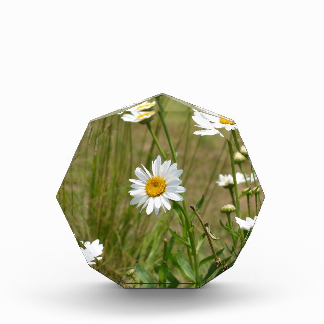 Octagonal  photo block (Front)