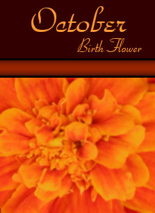 october birth flower marigold note card