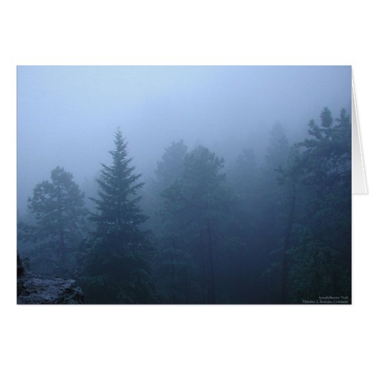 October Forest (Front Horizontal)