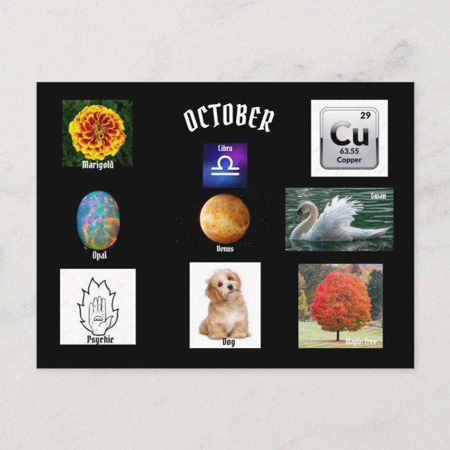 October Libra Birth month  Postcard (Front)