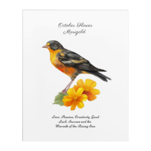 October Marigold Flower and Bird Birth          Acrylic Print