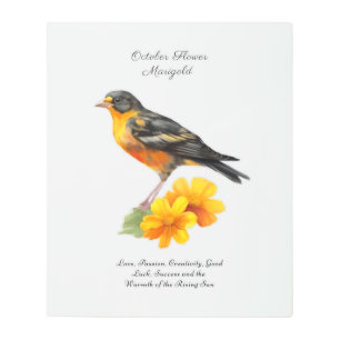 October Marigold Flower and Bird Birth Metal Print