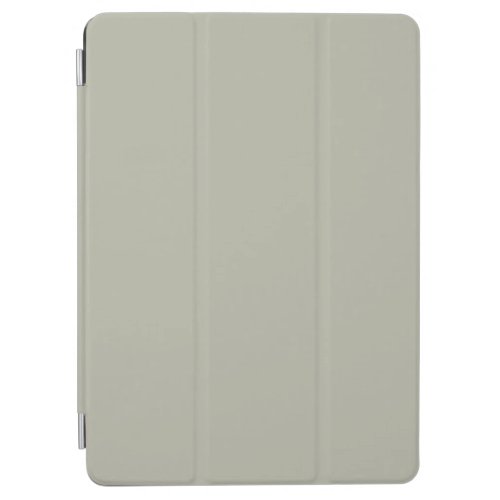 October Mist Solid Color iPad Air Cover