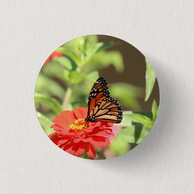 October Monarch     Button (Front)