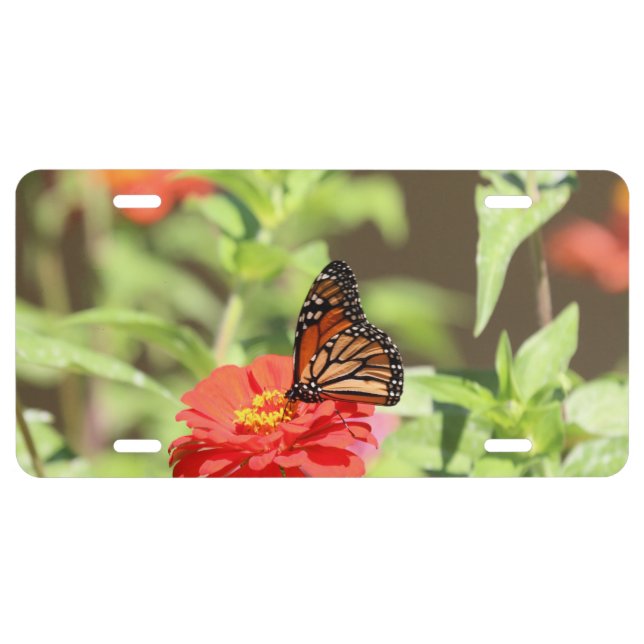 October Monarch License Plate (Front)