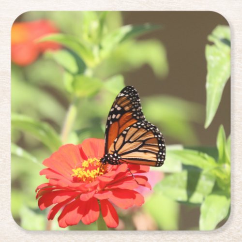 October Monarch Paper Plate Square Paper Coaster