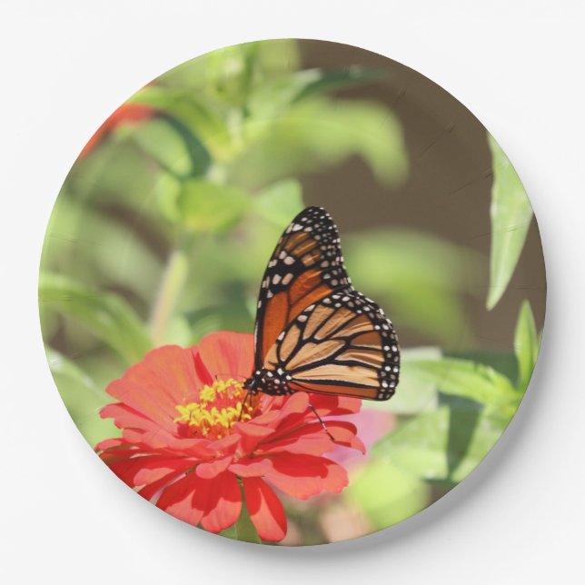 October Monarch Paper Plates (Front)