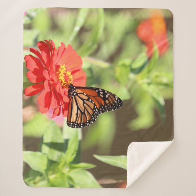 October Monarch  Sherpa Blanket (Front)