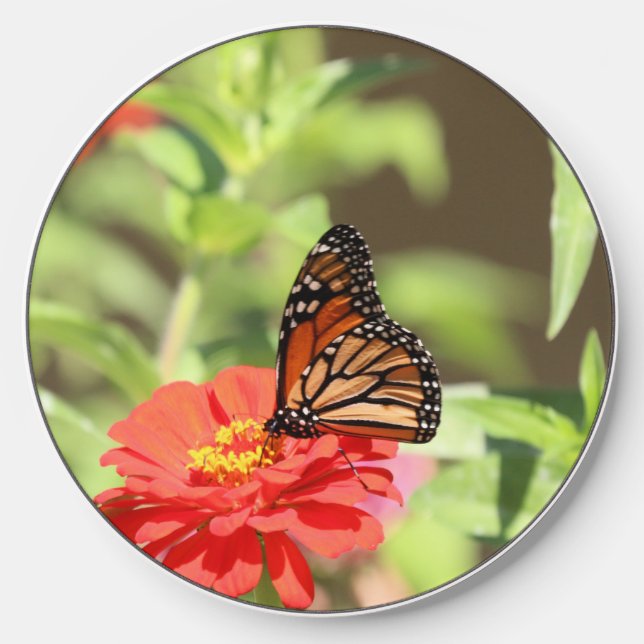 October Monarch Wireless Charger (Front)