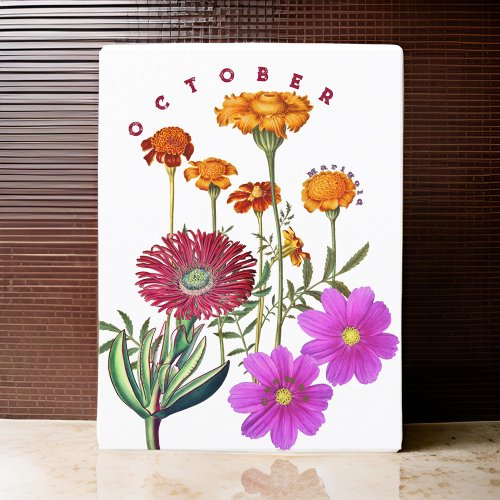 October Month Flowers Marigold  Cosmos  Postcard