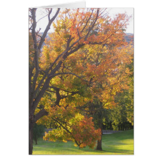 October sugar maple cards